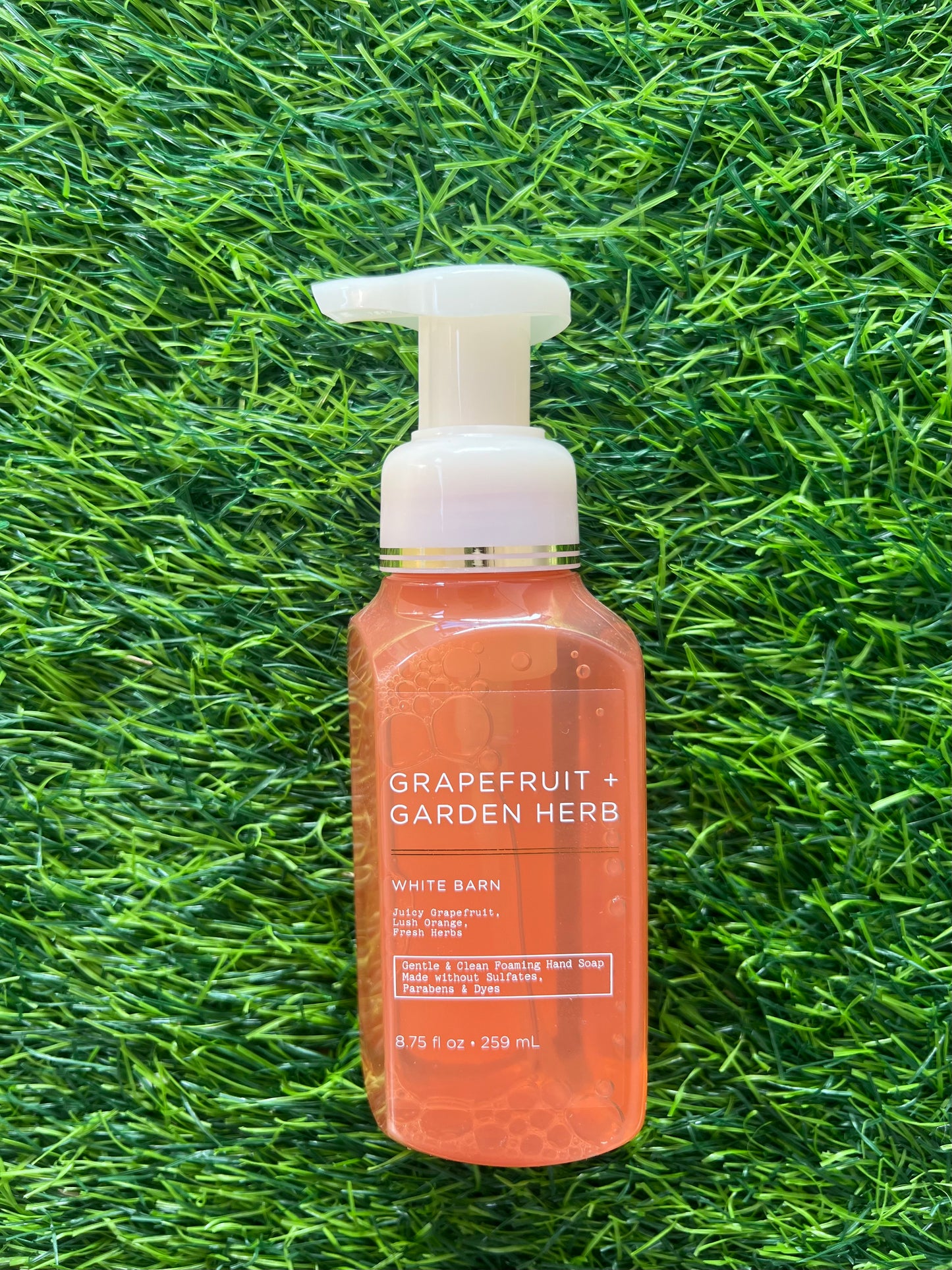 Bath & Body Works Gentle Foaming Hand Soap