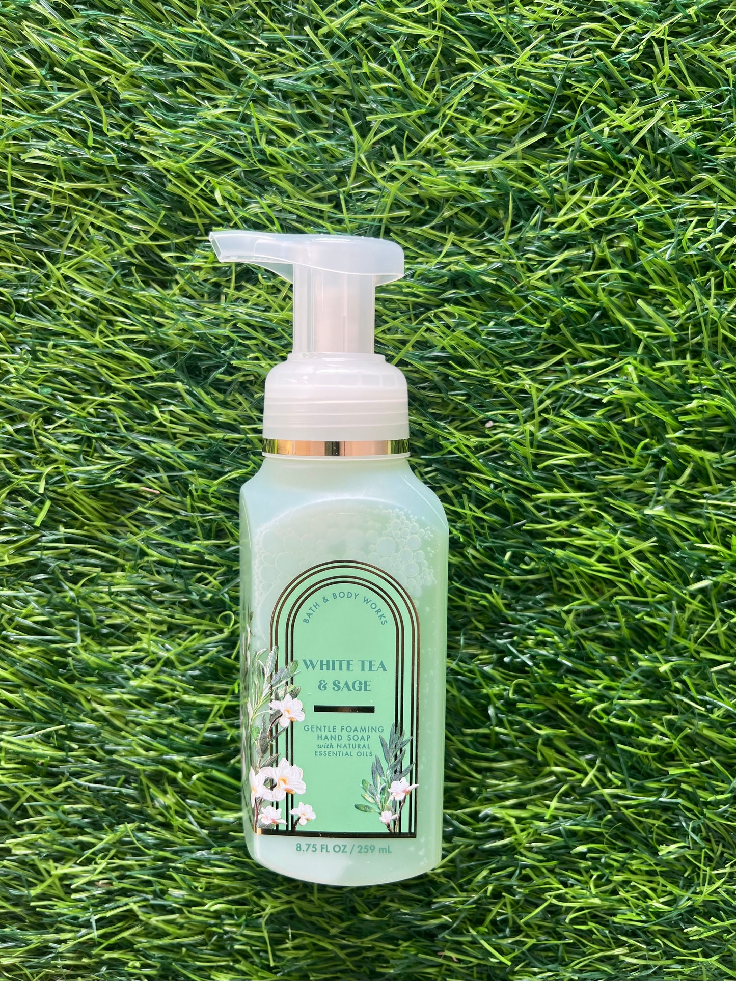 Bath & Body Works Gentle Foaming Hand Soap