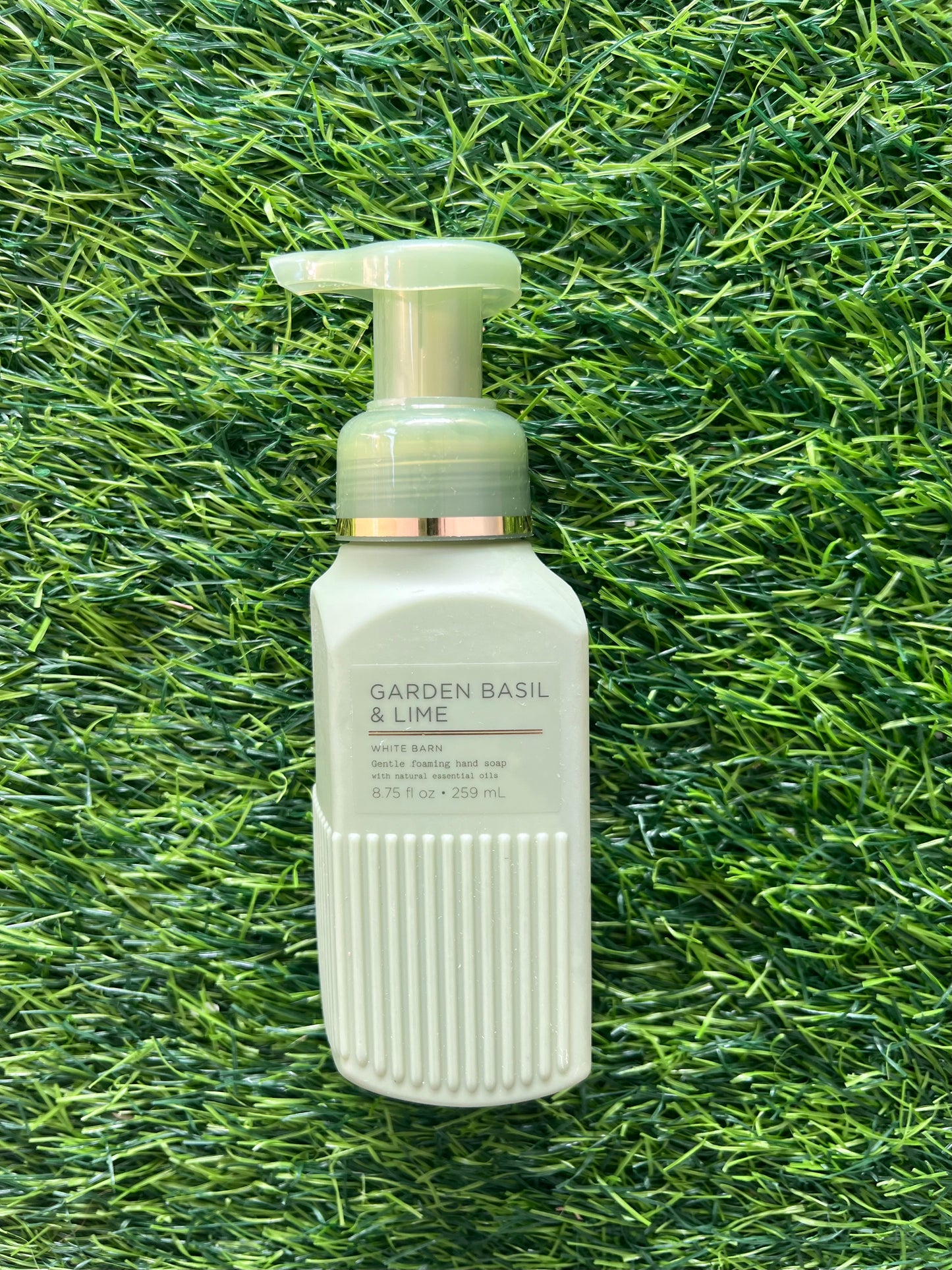 Bath & Body Works Gentle Foaming Hand Soap