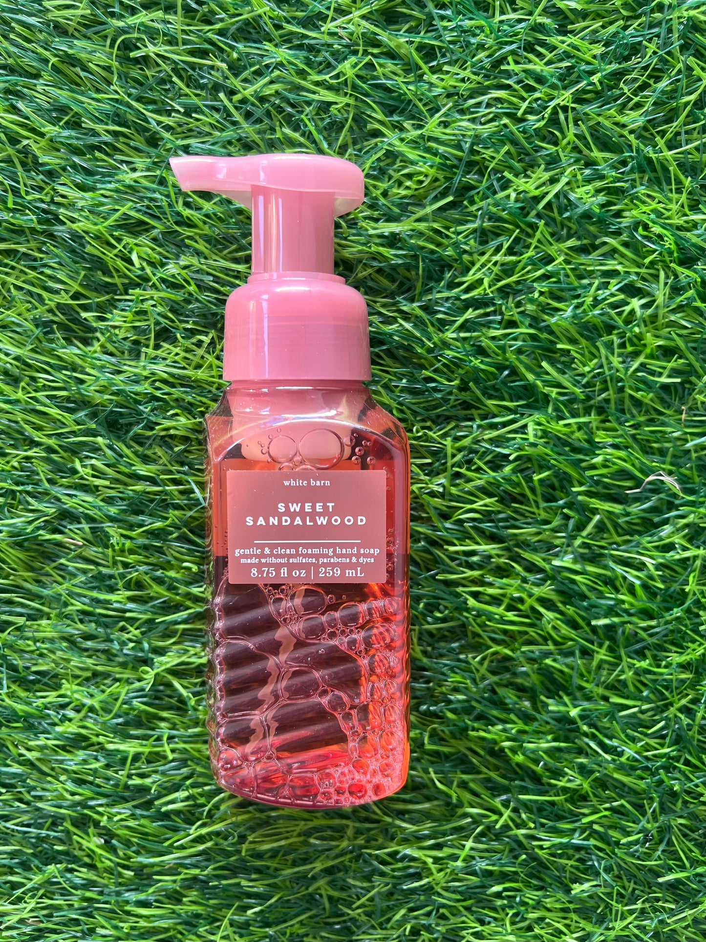 Bath & Body Works Gentle Foaming Hand Soap