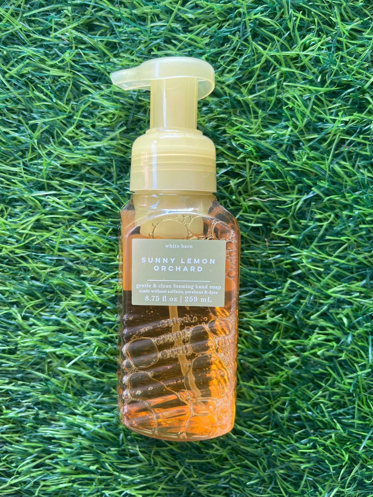 Bath & Body Works Gentle Foaming Hand Soap